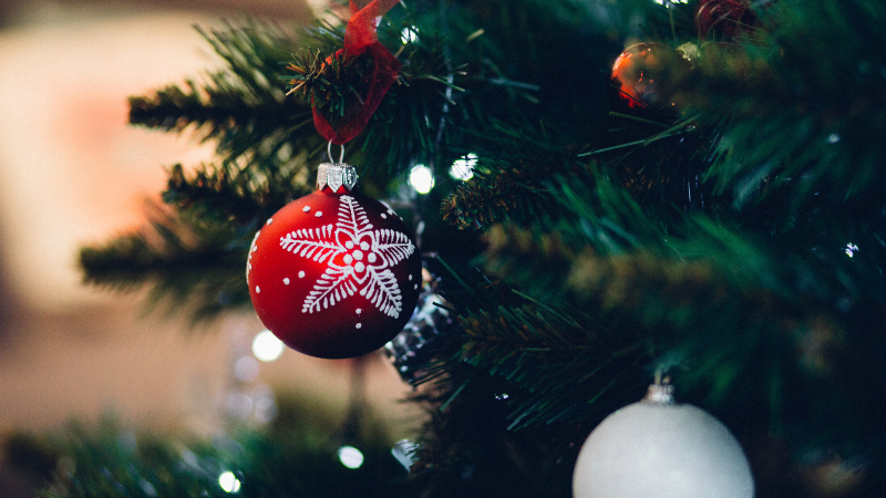 Festive and Fun: Where to Take the Family in Victoria This December | DFH Real Estate