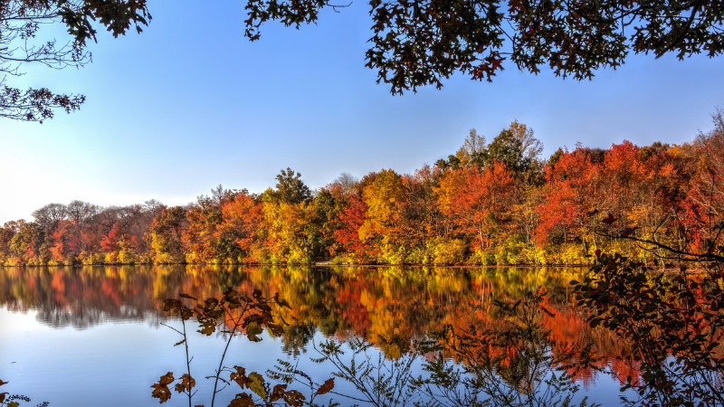 Where to See Fall Colours Around Southern Vancouver Island | DFH Real Estate